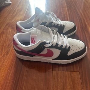 Nike dunks new never been worn